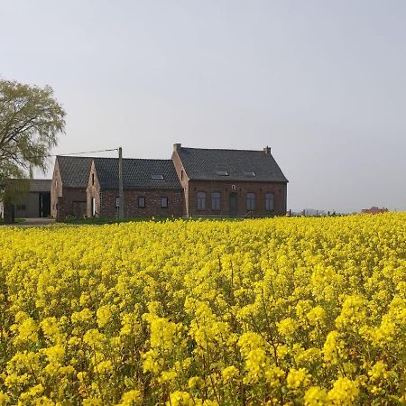 Spacious Holiday Home With Pond In Poperinge Roesbrugge-Haringe Esterno foto