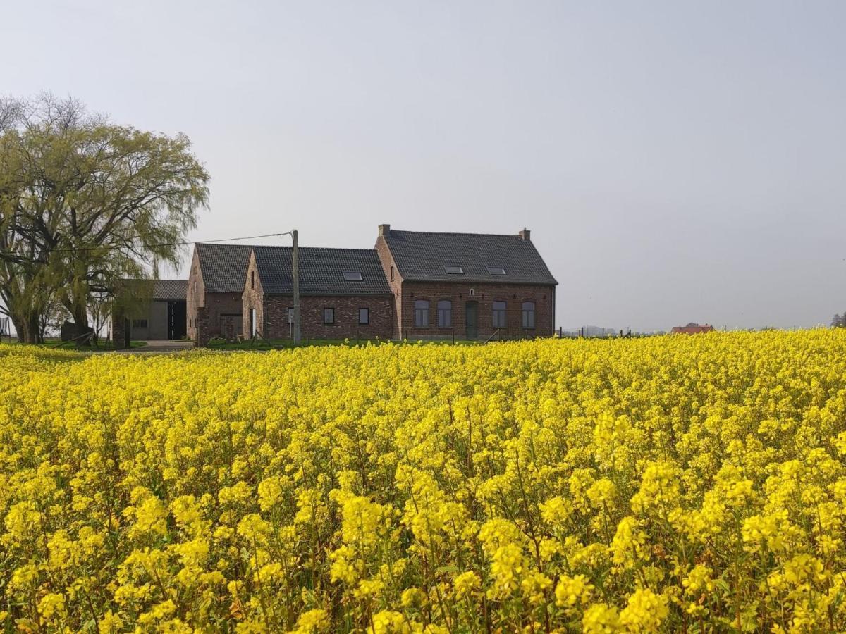 Spacious Holiday Home With Pond In Poperinge Roesbrugge-Haringe Esterno foto